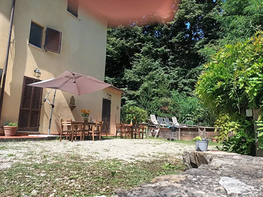 Immagine 7 di Rustico / casale in vendita  a Camaiore