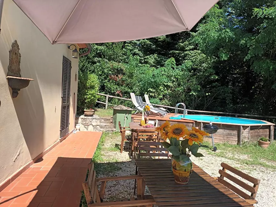 Immagine 8 di Rustico / casale in vendita  a Camaiore