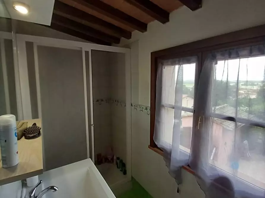 Immagine 45 di Appartamento in vendita  a Palaia