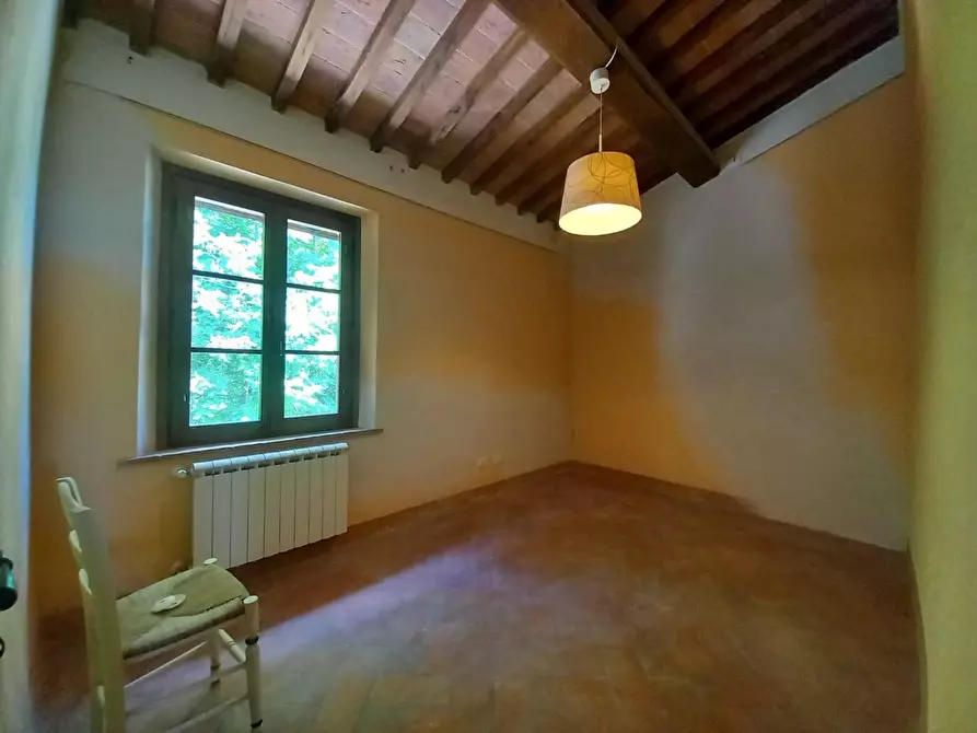 Immagine 26 di Appartamento in vendita  a Palaia