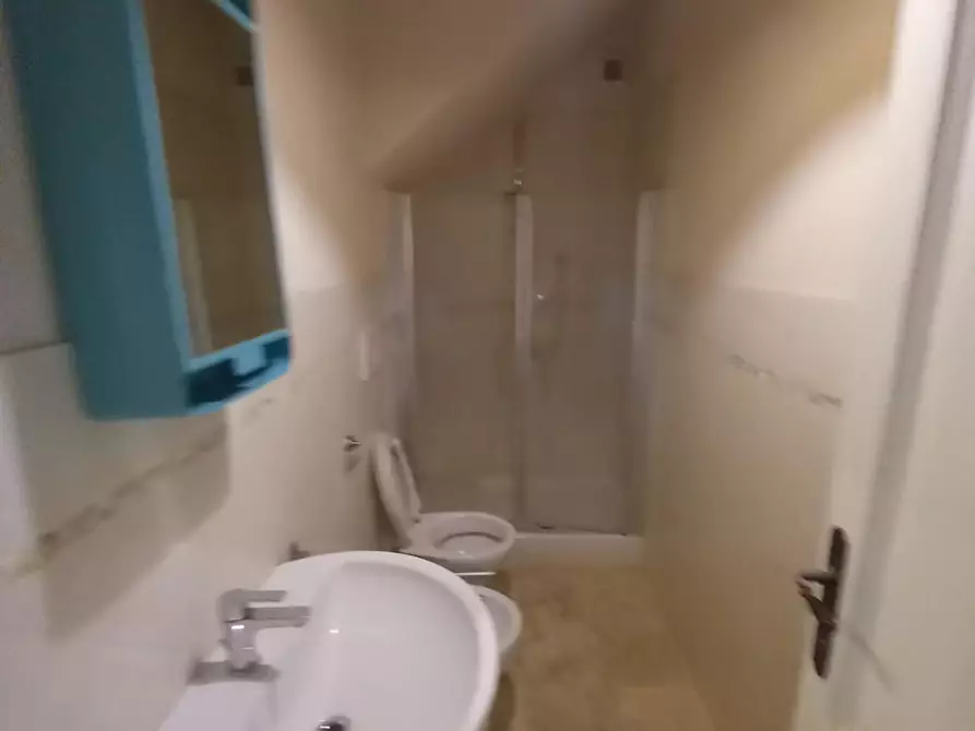 Immagine 46 di Appartamento in vendita  a Palaia