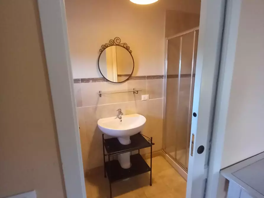 Immagine 42 di Appartamento in vendita  a Palaia