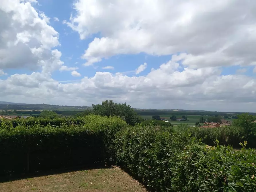 Immagine 51 di Appartamento in vendita  a Palaia