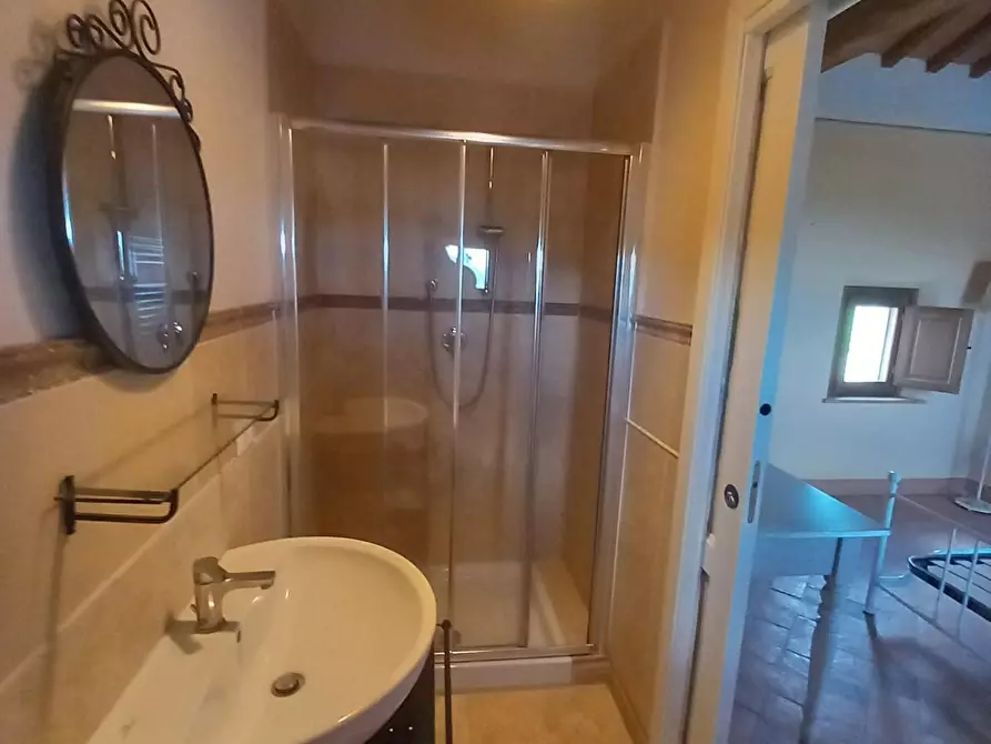 Immagine 31 di Appartamento in vendita  a Palaia