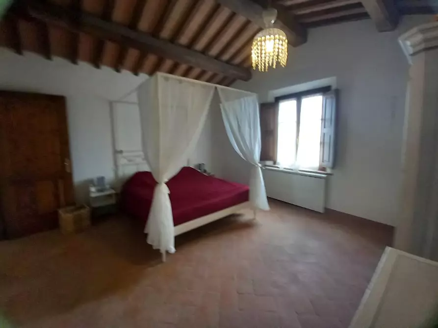 Immagine 36 di Appartamento in vendita  a Palaia