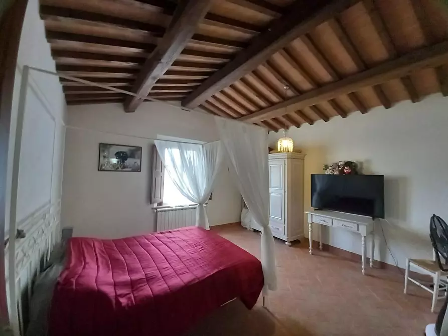 Immagine 38 di Appartamento in vendita  a Palaia