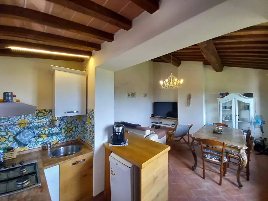 Immagine 39 di Appartamento in vendita  a Palaia