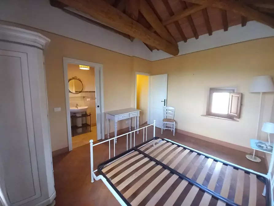 Immagine 37 di Appartamento in vendita  a Palaia