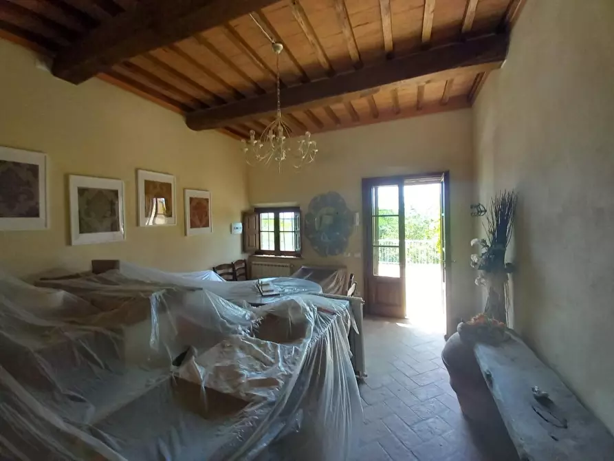 Immagine 47 di Appartamento in vendita  a Palaia