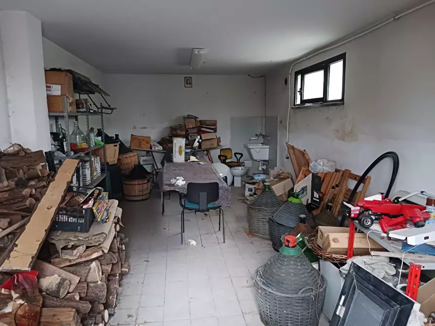 Immagine 2 di Magazzino in affitto  a Calcinaia