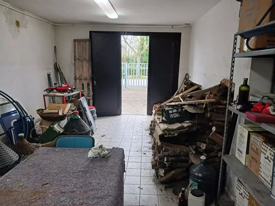 Immagine 4 di Magazzino in affitto  a Calcinaia