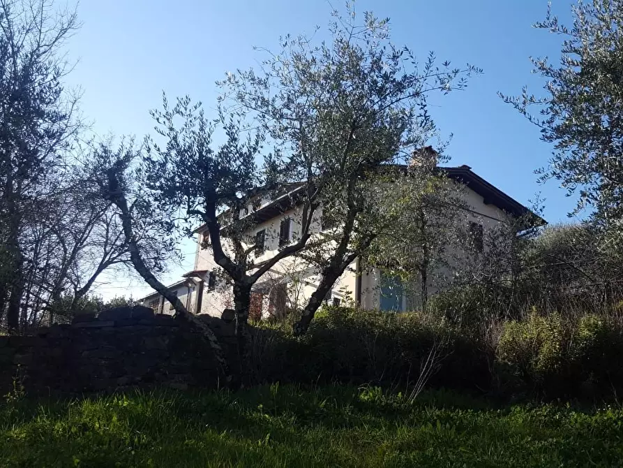 Immagine 24 di Rustico / casale in vendita  a Capannori