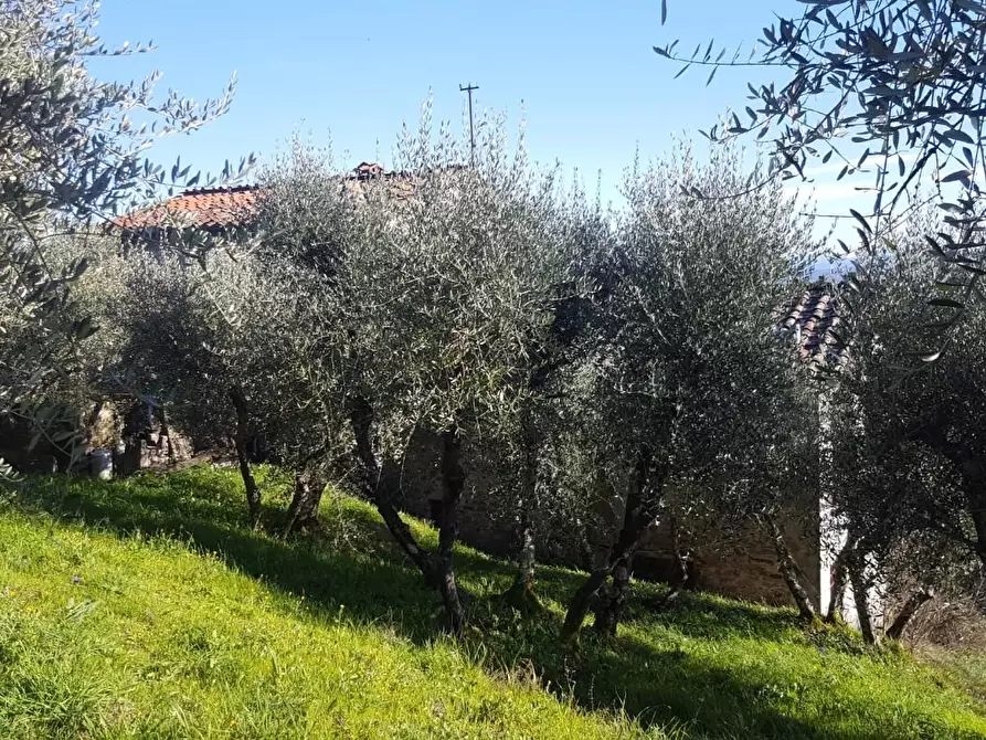 Immagine 7 di Rustico / casale in vendita  a Capannori