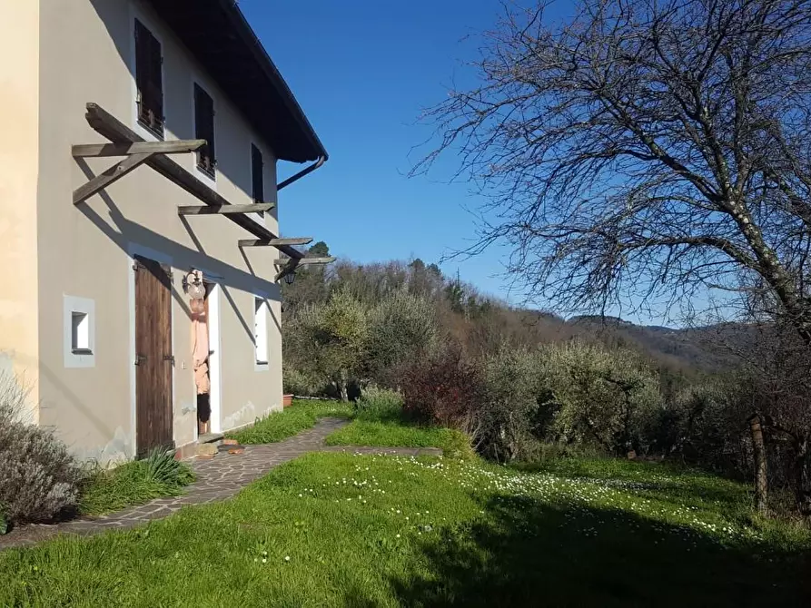 Immagine 19 di Rustico / casale in vendita  a Capannori