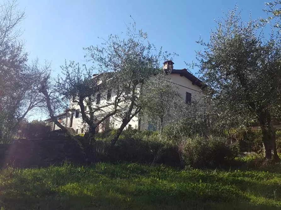 Immagine 2 di Rustico / casale in vendita  a Capannori