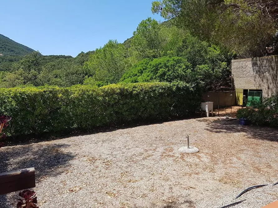 Immagine 10 di Appartamento in vendita  a Rio Marina