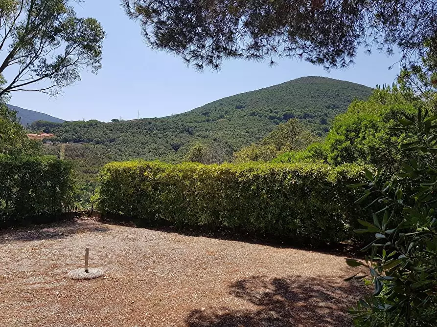 Immagine 9 di Appartamento in vendita  a Rio Marina