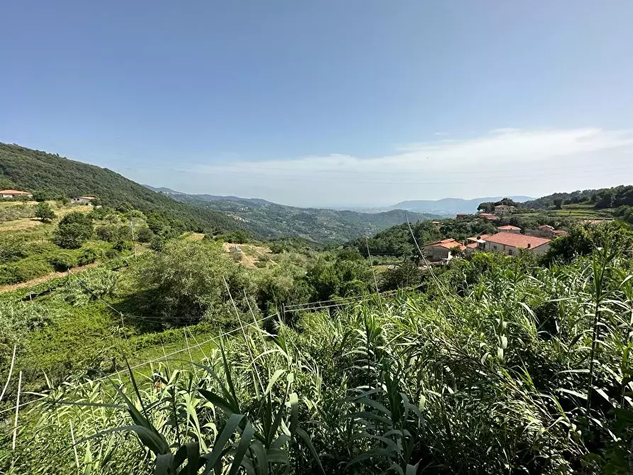 Immagine 24 di Casa semindipendente in vendita  a Fosdinovo