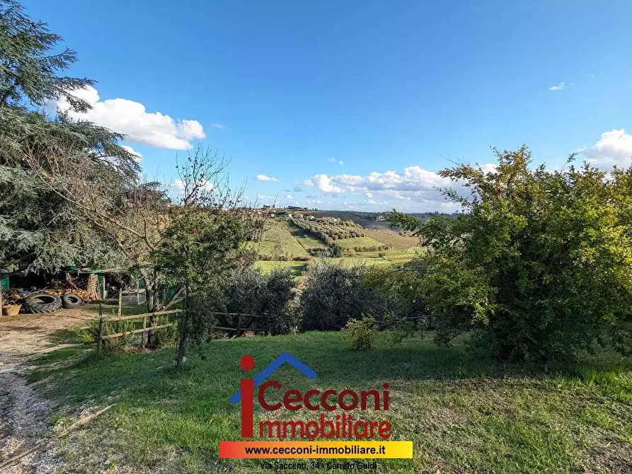 Immagine 5 di Appartamento in vendita  a Cerreto Guidi