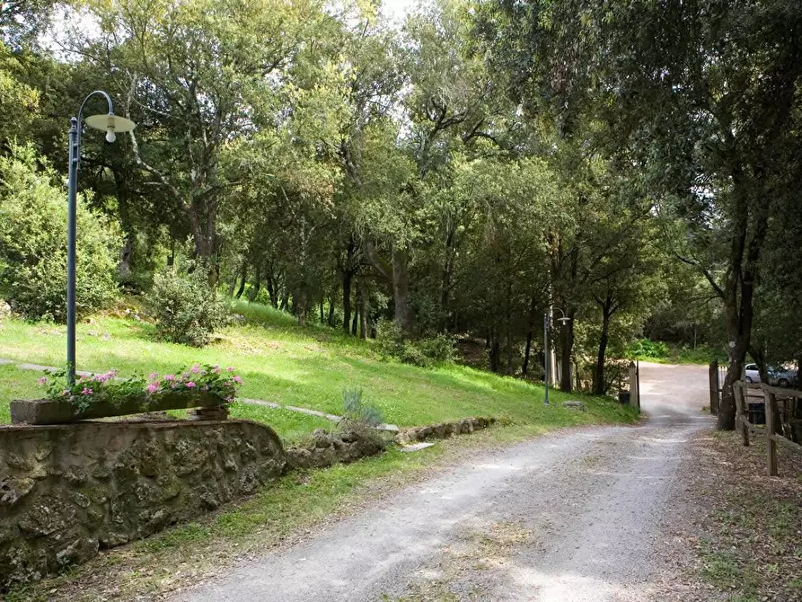 Immagine 7 di Immobile di prestigio in vendita  a Monteriggioni