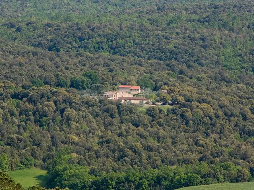 Immagine 10 di Immobile di prestigio in vendita  a Monteriggioni