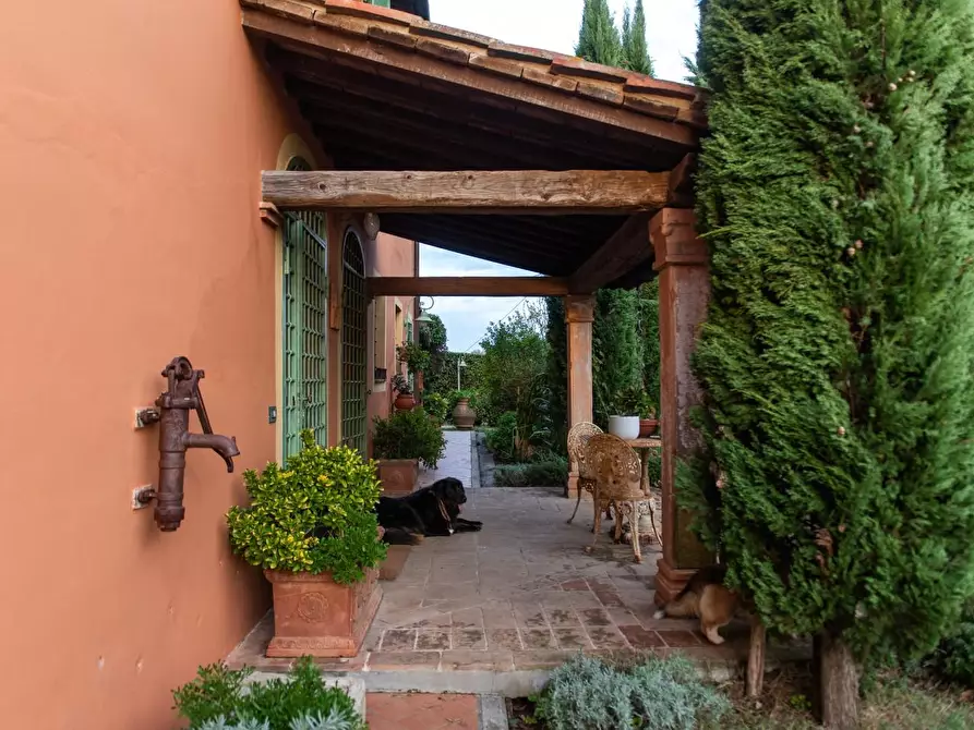 Immagine 24 di Rustico / casale in vendita  a Pisa
