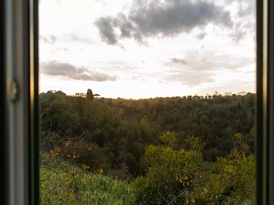 Immagine 20 di Rustico / casale in vendita  a Pisa