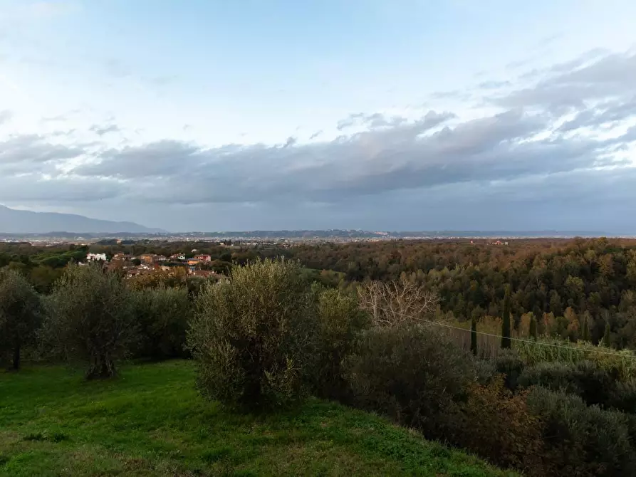 Immagine 31 di Rustico / casale in vendita  a Pisa