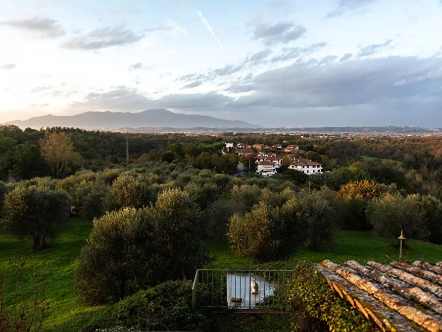 Immagine 35 di Rustico / casale in vendita  a Pisa