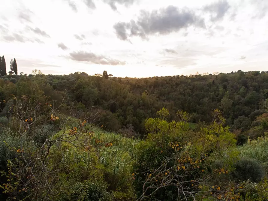 Immagine 19 di Rustico / casale in vendita  a Pisa