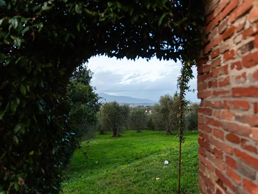 Immagine 27 di Rustico / casale in vendita  a Pisa