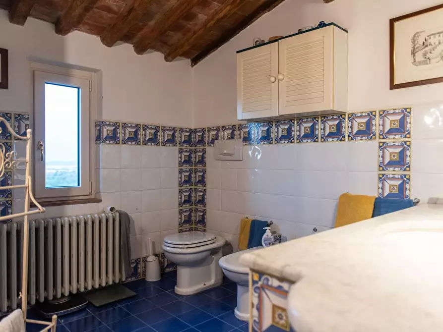 Immagine 18 di Rustico / casale in vendita  a Pisa