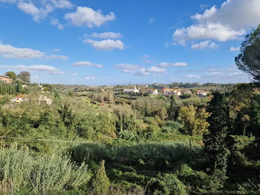 Immagine 14 di Appartamento in vendita  a Crespina Lorenzana