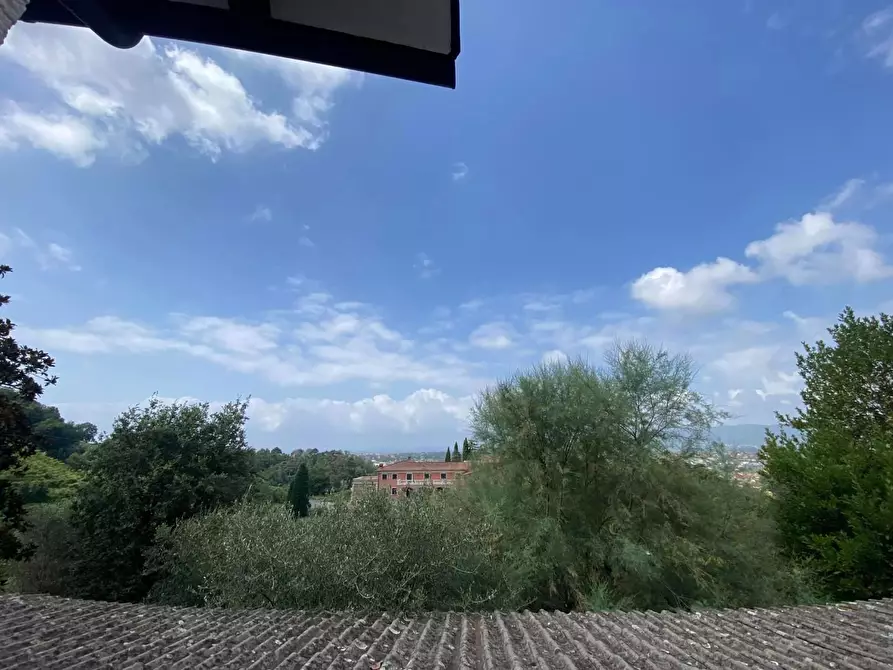 Immagine 8 di Villa in vendita  a Carrara