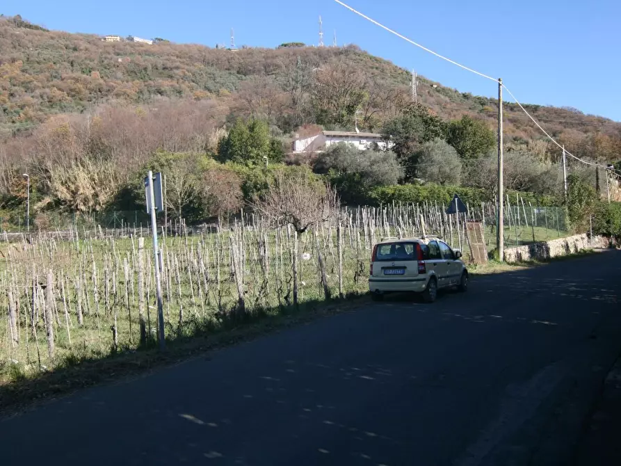 Immagine 30 di Villa in vendita  a Carrara