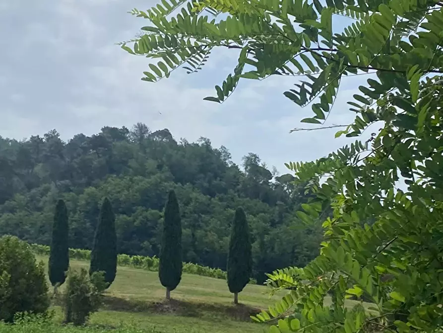 Immagine 6 di Villa in vendita  a Carrara