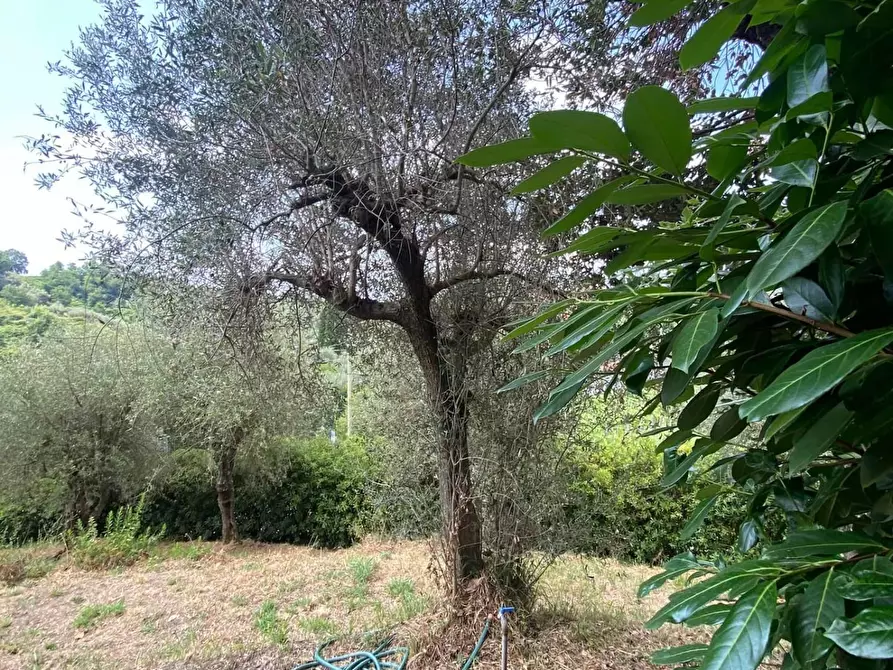 Immagine 5 di Villa in vendita  a Carrara