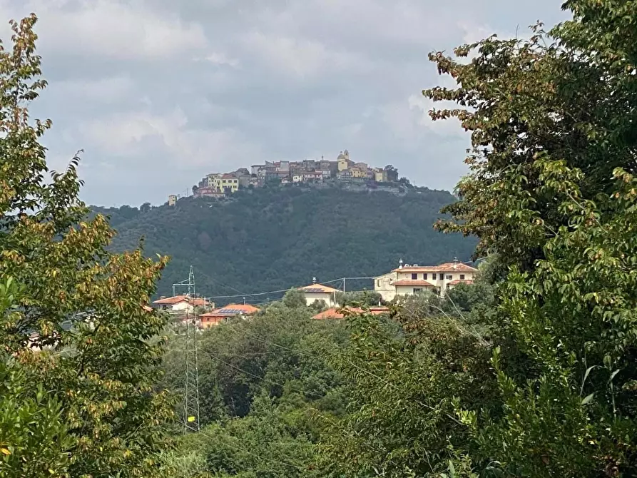 Immagine 7 di Villa in vendita  a Carrara