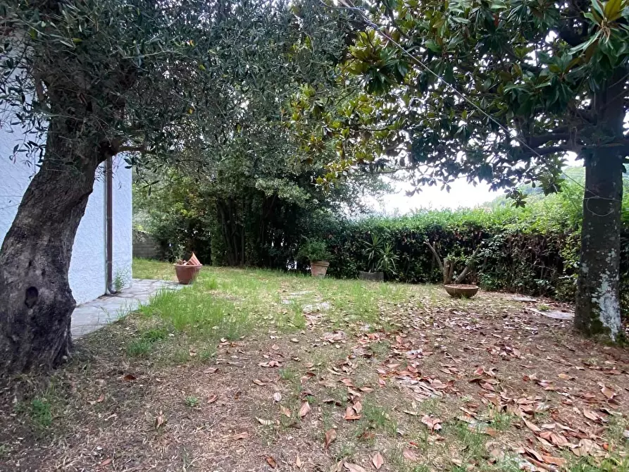 Immagine 3 di Villa in vendita  a Carrara