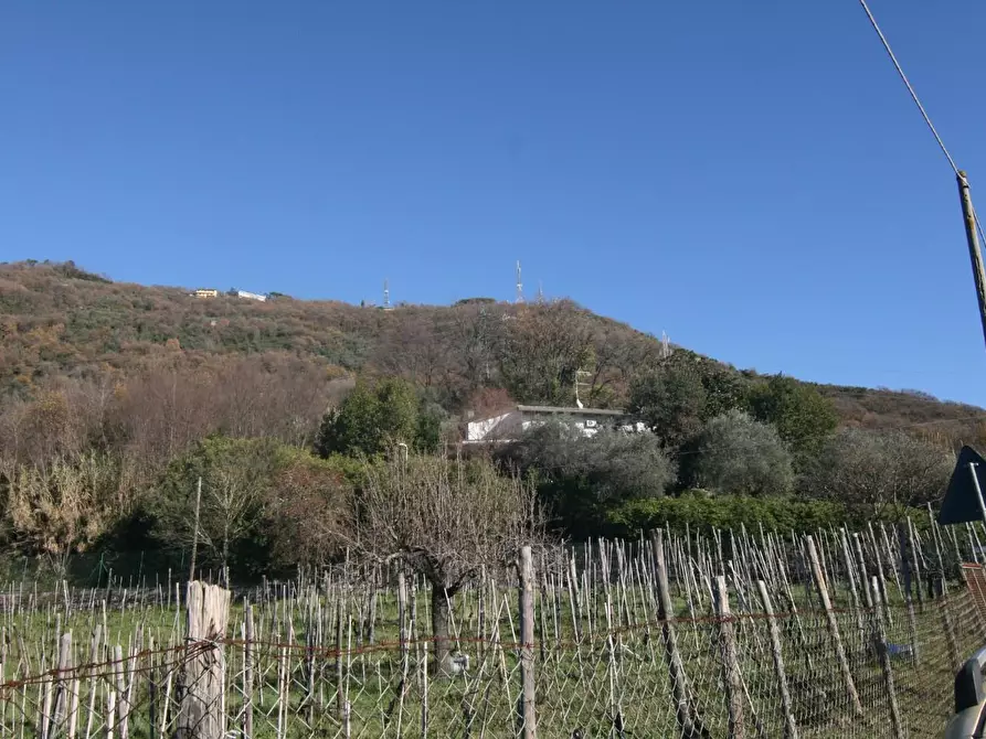 Immagine 31 di Villa in vendita  a Carrara