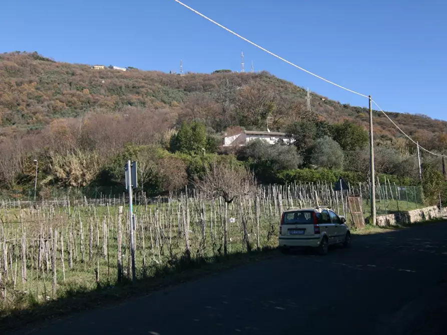 Immagine 29 di Villa in vendita  a Carrara