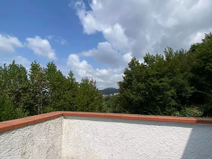 Immagine 28 di Villa in vendita  a Carrara