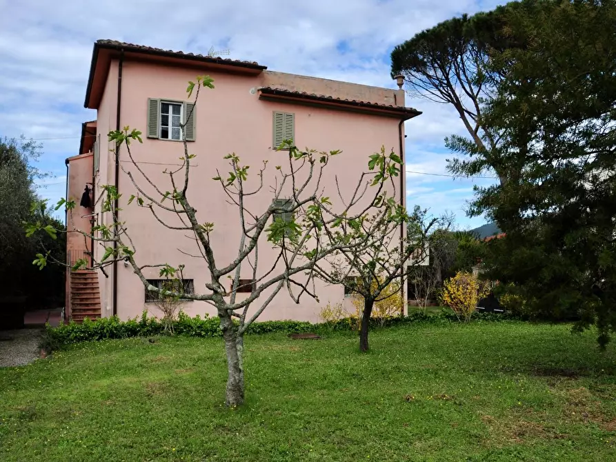 Immagine 2 di Villa in vendita  a Calci