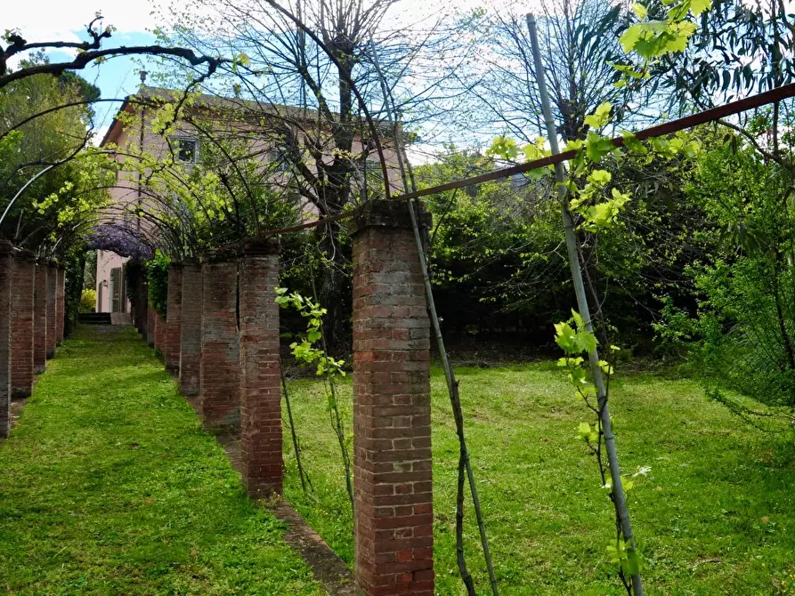 Immagine 5 di Villa in vendita  a Calci