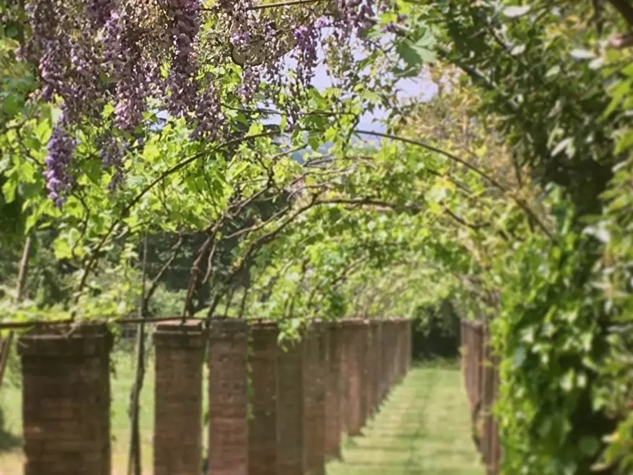 Immagine 6 di Villa in vendita  a Calci