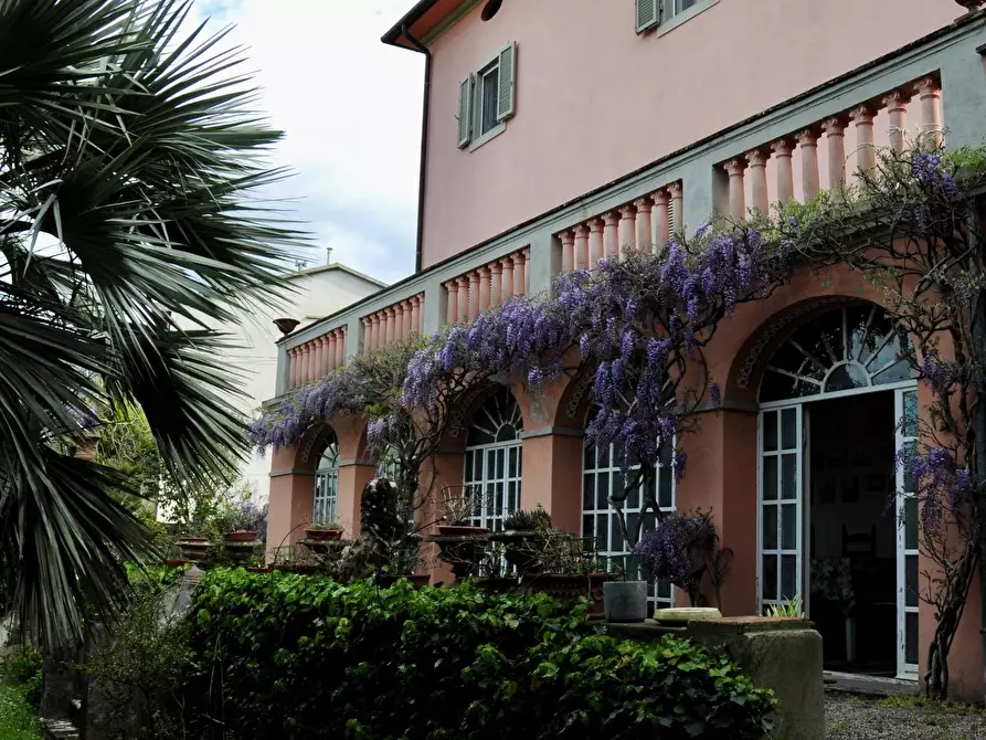 Immagine 3 di Villa in vendita  a Calci