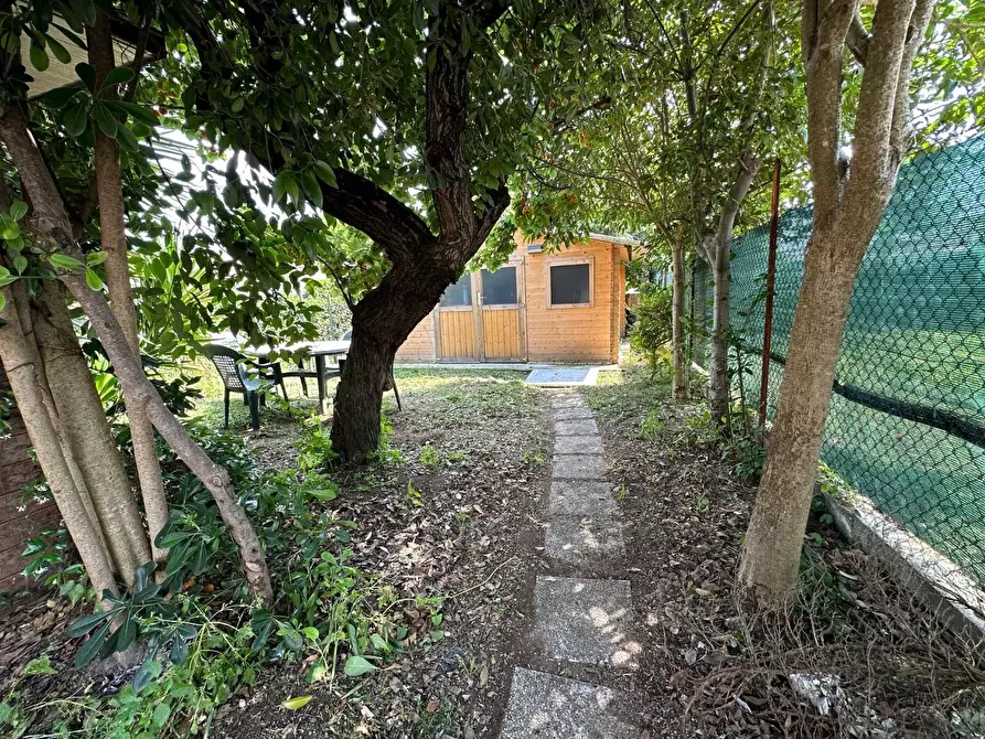 Immagine 23 di Terratetto in vendita  a Pisa