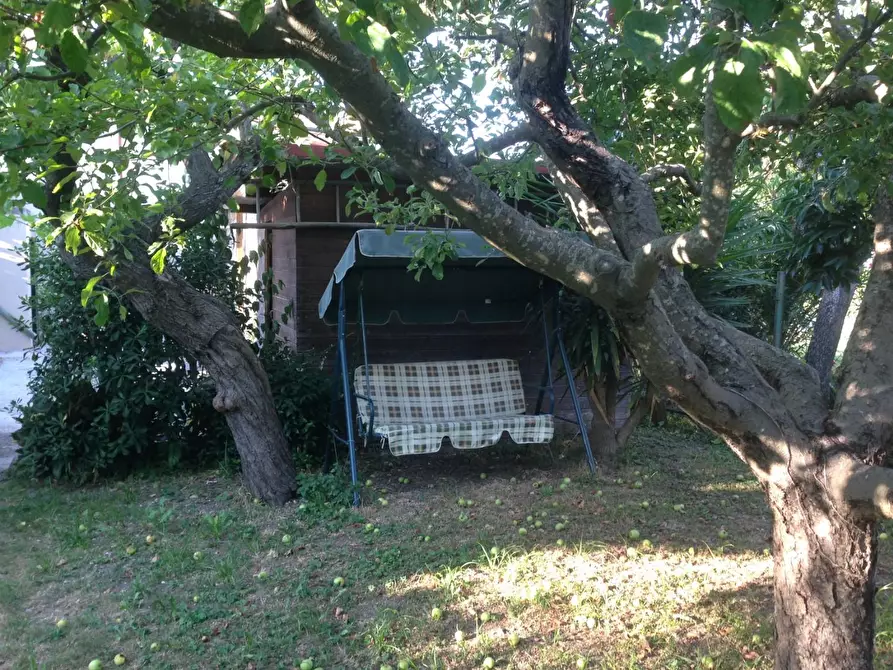 Immagine 25 di Terratetto in vendita  a Pisa