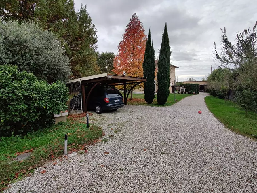 Immagine 18 di Villa in vendita  a San Giuliano Terme