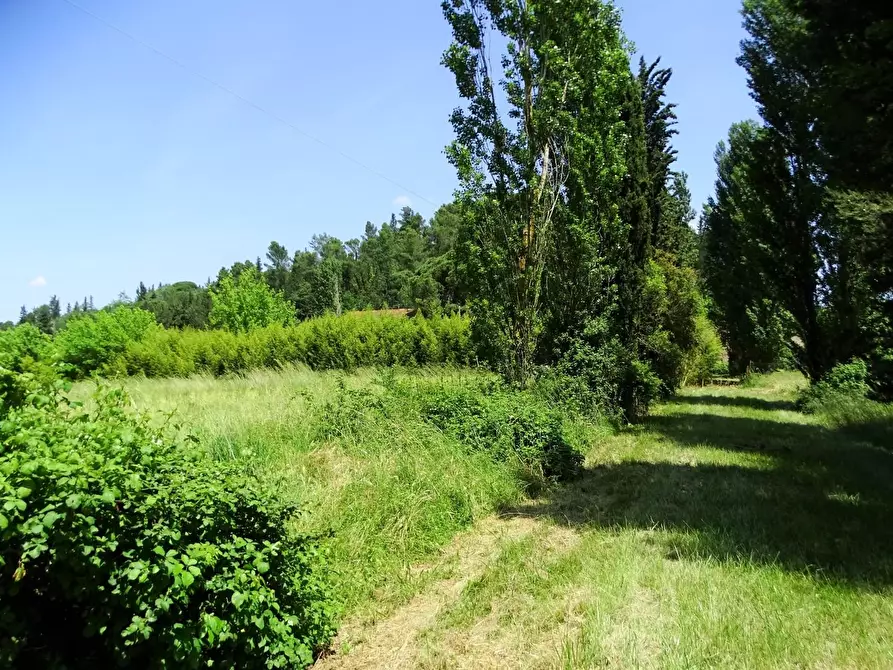 Immagine 31 di Casa colonica in vendita  a San Miniato